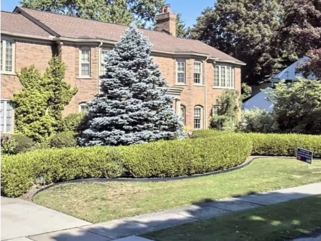 Before — Original Landscape